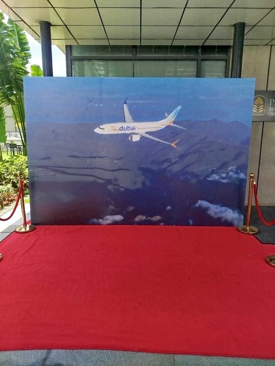 FLY DUBAI project preview